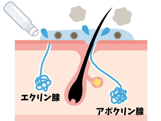 汗腺を塞ぐ トップ 化粧水かぶれ